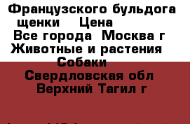 Французского бульдога щенки  › Цена ­ 35 000 - Все города, Москва г. Животные и растения » Собаки   . Свердловская обл.,Верхний Тагил г.